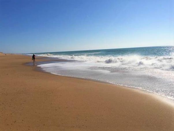 Appart Breti Plage 2 - Duplex Brétignolles-sur-Mer Екстериор снимка